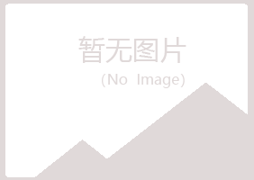 齐河县紫山化学有限公司